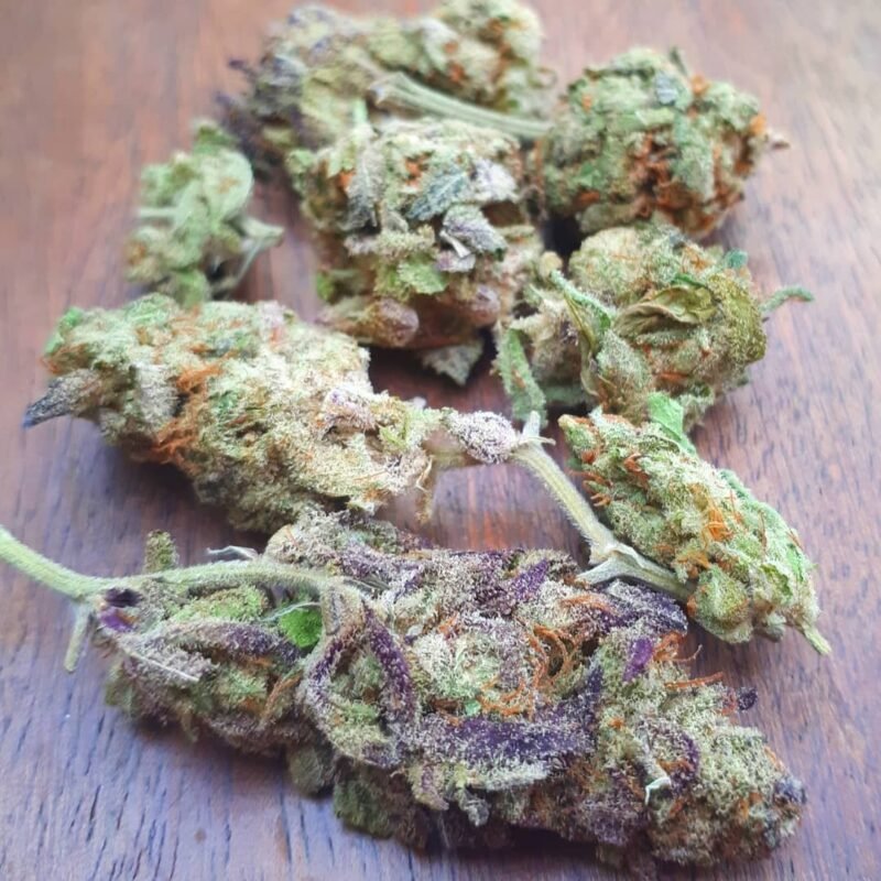 Girl Scout Cookies